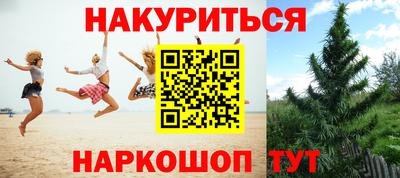 гашик Кулебаки