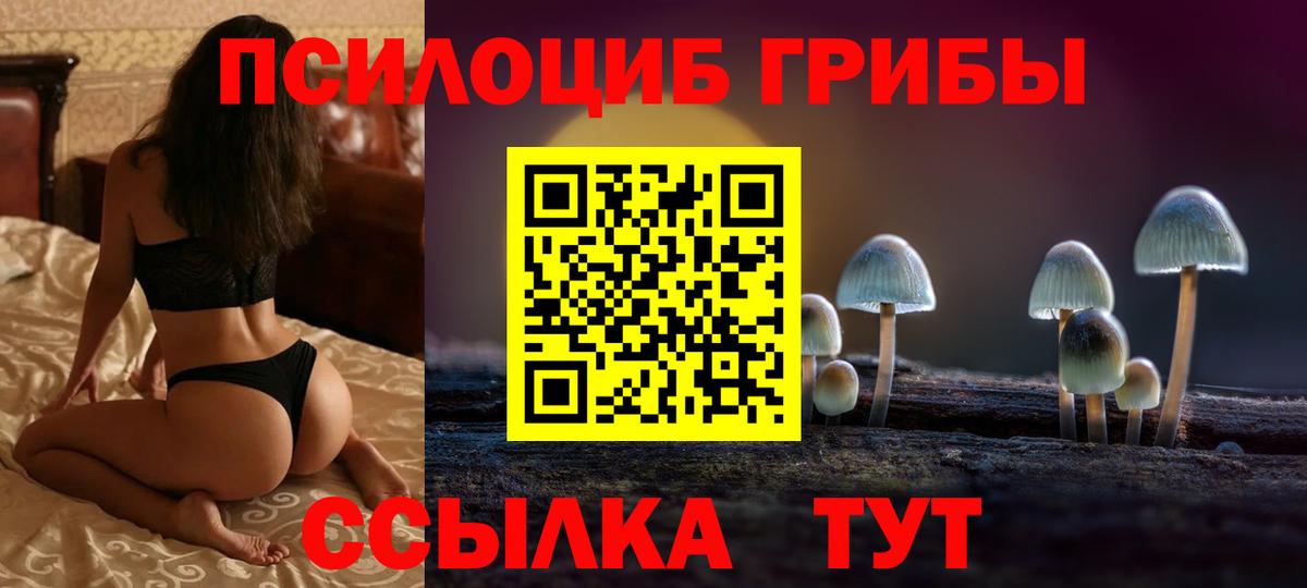 Воскресенск  Галлюциногенные грибы прущие грибы  Вход с VPN  Псилоцибиновые грибы мухоморы 